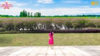 广场舞《红枣树》正背面分解
