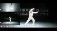 《杨氏太极拳85式》赵幼斌分解教学下载