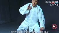 陈式太极拳老架一路陈斌完整教学版(上集)下载