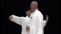 杨氏太极拳49式讲解全下载