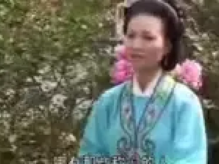 庐剧《秦雪梅观画》全剧 1下载