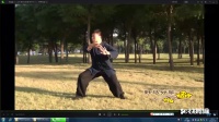 杨式85式太极拳 杨建超演练下载