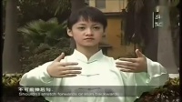 太极拳初学者基本动作教学下载