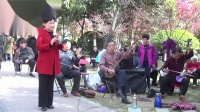 三川曲剧《白蛇传》 哭啼啼对官人不堪回首