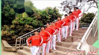 广场舞《有没有一种思念永不疲惫》附正反教学下载