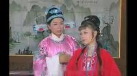 庐剧《九龙玉蝶杯》宽屏版 3
