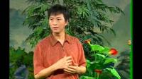 庐剧《秀梅私奔》宽屏版