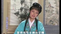 庐剧《过韶关》宽屏版 7