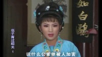庐剧《过韶关》宽屏版 1