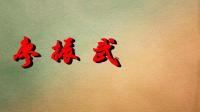 张茗茗陈式太极拳老架一路背面（74式）下载
