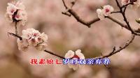 淮剧老唱片《舍妻》之二