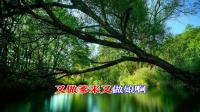 淮剧老唱片《舍妻》之三