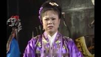 庐剧《还魂传》宽屏版 5