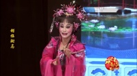 芗剧《错招驸马》3
