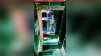 淮剧《清风亭》兴化华洋淮剧艺术团