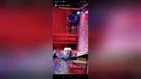 湖南花鼓戏《秦香莲后传》下载