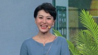 带着老公去相亲下载