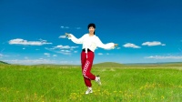 阿采原创广场舞 《走马观花》64步很火新歌