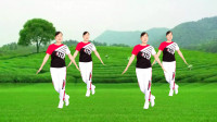 中老年操《最亲的人》节奏不快不慢中老年首选下载
