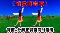 广场舞《情歌呀啦嗦》超清背面附详细教学下载