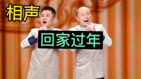 回家过年