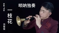 郭鹏飞唢呐独奏《一枝花》完整版首发