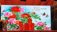 荆州花鼓戏《吴大拜寿》下载
