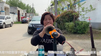 唢呐姐姐演奏豫剧《朝阳沟》永远的经典