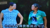 云南山歌剧《都是女人惹的祸》03集下载