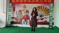 淮剧《打金枝》选段《唐君蕊头戴翠冠凤展翅》下载