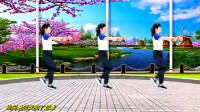 广场舞《爱我是你说的谎》伤感歌曲DJ版爆火