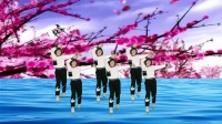 广场舞《一万个对不起》舞步轻快步伐新颖时