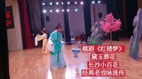 越剧《红楼梦》黛玉葬花