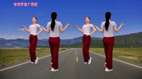 广场舞《这条街》双人对跳版