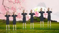 DJ广场舞《大哥大姐不差钱》节奏动感步伐简
