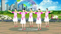 广场舞《红尘一情歌》舞蹈优美易学