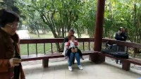 京剧《红灯记  十七年》