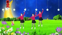 广场舞《军中绿花》超级火男女老幼都在跳