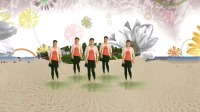 DJ广场舞《妹妹的酒》零基础教学 简单好看