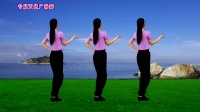 广场舞DJ教学版《烟雨人间》海来阿木新歌下载