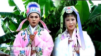 黄梅戏《风流尼姑才十八》13伤心事已忘记 