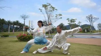 二十四式太极拳演示（雪中梅花在外飘）下载