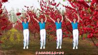 广场舞《烟雨人间DJ》演唱海来阿木
