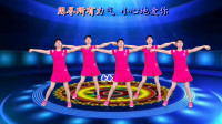 广场舞《下辈子不一定还能遇见你》简单更好