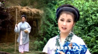 黄梅戏《孤儿寡母好伤心》当初养儿心欢喜 