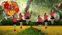 动感DJ广场舞《军中绿花》美女原创编舞简单