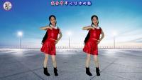 广场舞32步《再见》动感DJ舞曲附教学下载