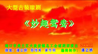 大型古装琼剧《妙趣鸳鸯》第二场