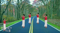 广场舞《梅花泪》含背面口令分解