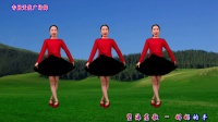 广场舞《妈妈的手》好听又好看